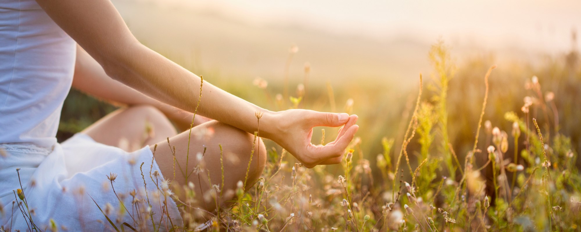 meditacion para bajar de peso y liberar las emociones 